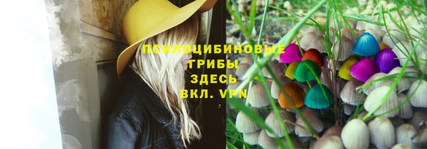 прущие грибы Лихославль