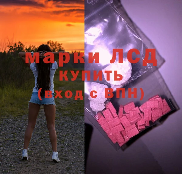 прущие грибы Лихославль