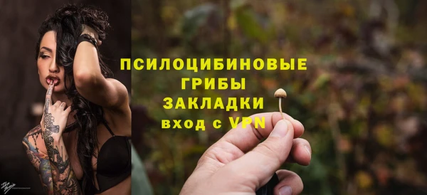 индика Лиски