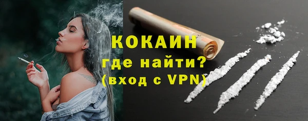 индика Лиски