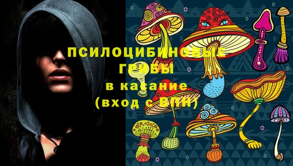 прущие грибы Лихославль