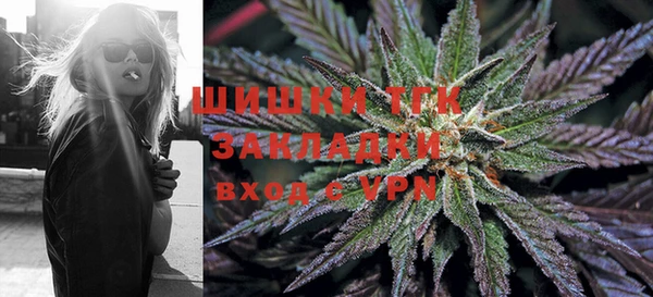 спиды Липки