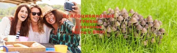 спиды Липки