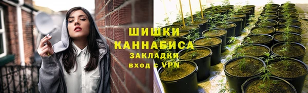 индика Лиски