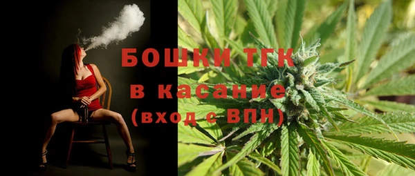 прущие грибы Лихославль