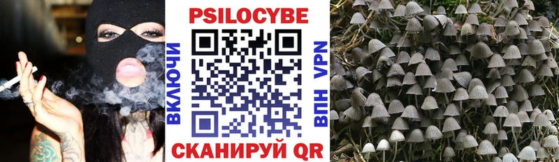 цена   Отрадная  блэк спрут ТОР  Галлюциногенные грибы GOLDEN TEACHER 